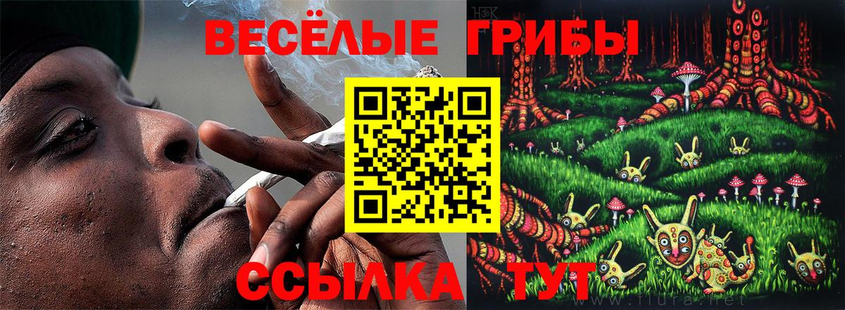 Псилоцибиновые грибы ЛСД Искитим