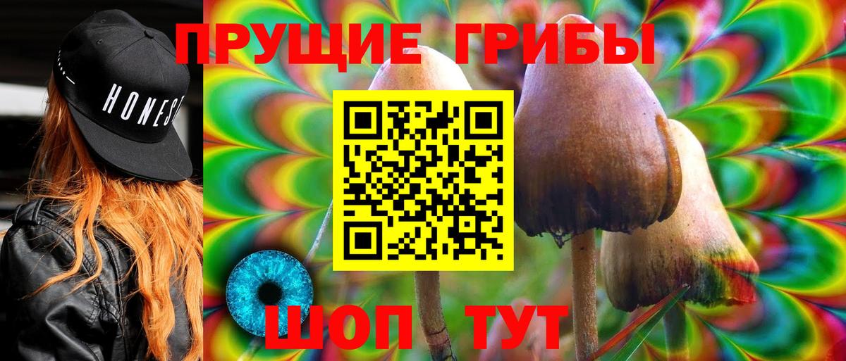 Искитим  Галлюциногенные грибы Magic Shrooms  Вход с VPN 